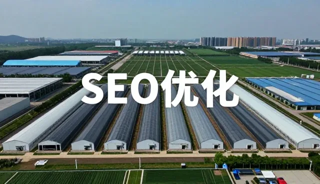 网站建设等技术如何影响APP变化